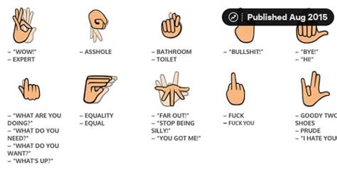 bullshit sign language|sign language swear words.